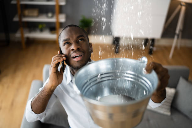 Carpet water damage restoration in Forest Grove, OR