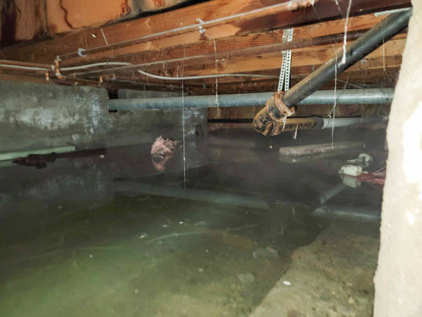Best Emergency water damage restoration  in Fest Grove, OR
