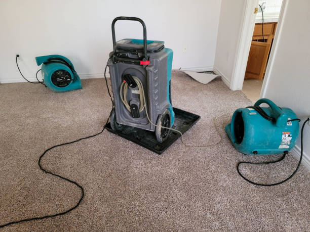 Water damage restoration mold remediation in Forest Grove, OR