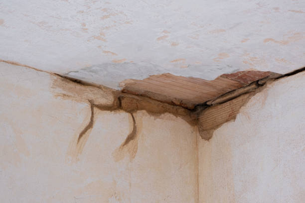 Best Fire Damage Restoration  in Fest Grove, OR