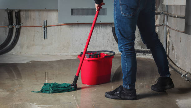 Best Flood restoration services  in Fest Grove, OR