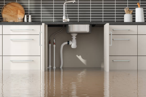  Fest Grove, OR Water damage restoration Pros