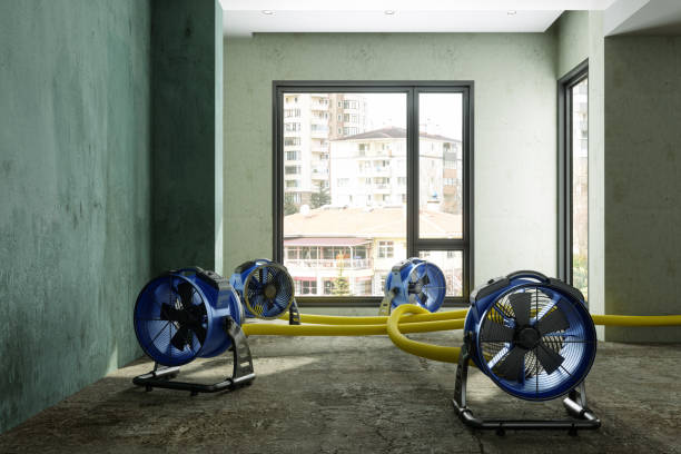Water damage restoration mold remediation in Forest Grove, OR