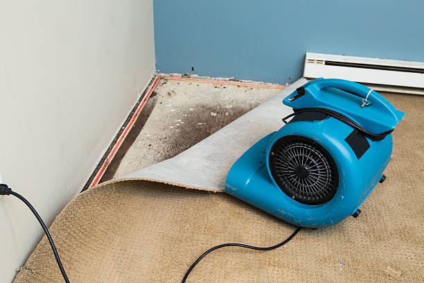 Best Water damage restoration cost  in Fest Grove, OR